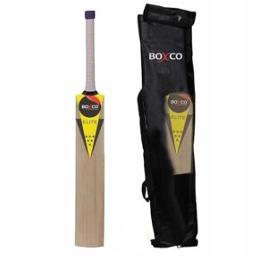 cricket bat 