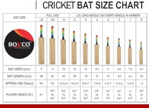 cricket bat chart